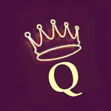 q name dp